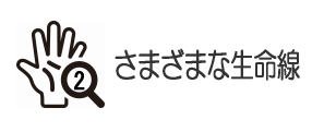 さまざまな生命線の種類