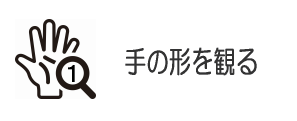 手の形を観る