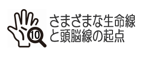 さまざまな生命線と頭脳線の起点