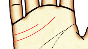 長い結婚線と感情線