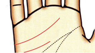 長い職業線と感情線