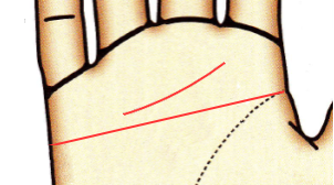 マスカケ＋二重感情線