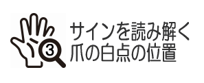 爪の白点の位置