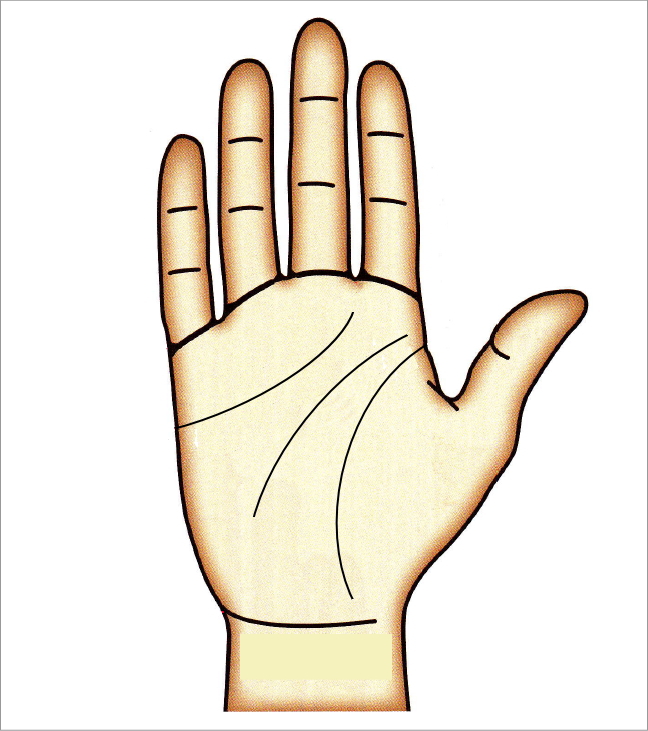 離れ頭脳線（KY線）